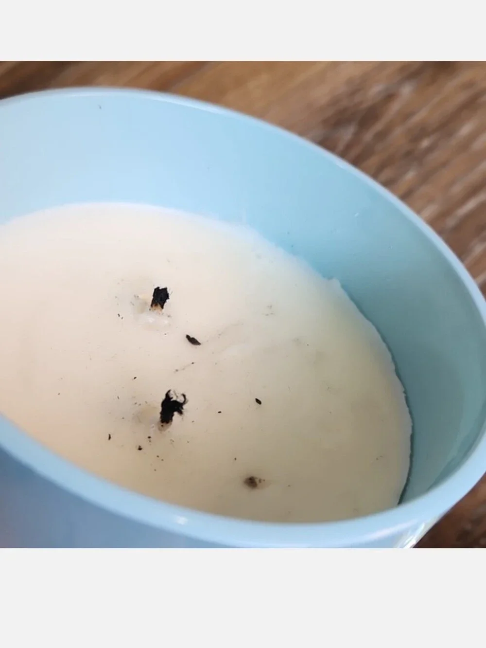 Kirkland's Home Happy Birthday Cookie Dough Vanilla Scented Candle